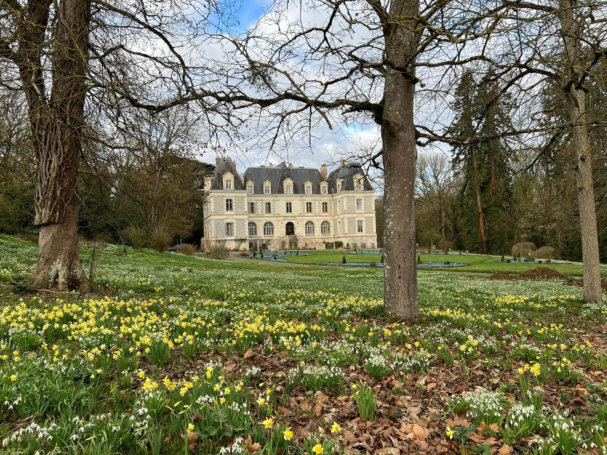 Chateau De Saint-Bohaire Eksteriør bilde
